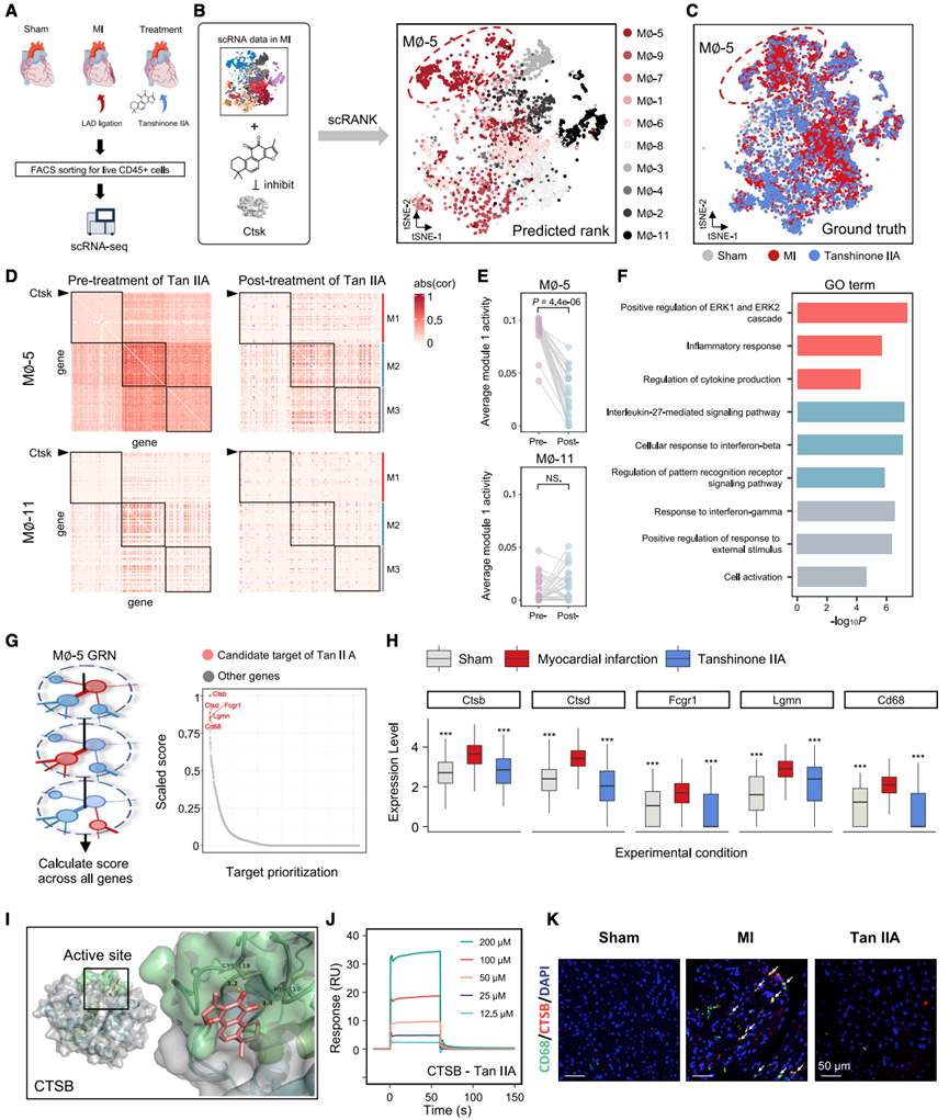 A new method for inferring drug effector cell types based on single ...